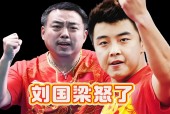 华体会-中国乒乓球队血洗德国乒乓球队，王皓关键制胜的简单介绍