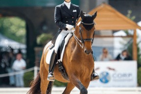 华体会下载-包含美洲马术比赛激战拉开帷幕，阿根廷骑手夺得冠军殊荣的词条