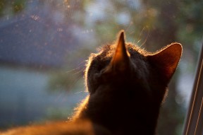 华体会体育-揭秘绝杀之夜，当赛道时速320公里遇见欧冠第93分钟