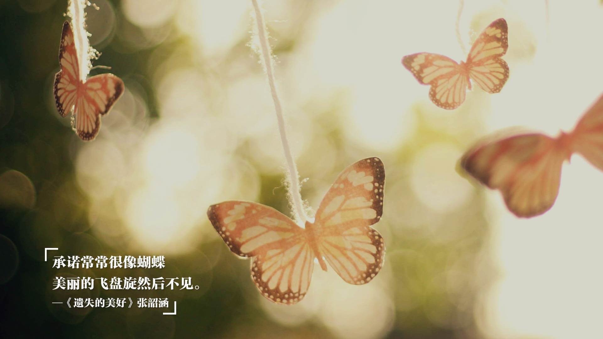 华体会网址-逆转之夜,当塞尔维亚的铁血意志击穿瑞典堡垒,库尔图瓦用神迹书写2026世界杯半决赛唯一传奇 第1张 华体会网址-逆转之夜,当塞尔维亚的铁血意志击穿瑞典堡垒,库尔图瓦用神迹书写2026世界杯半决赛唯一传奇 第1张